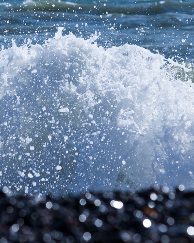 Sea
