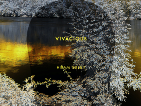 Hiram Green Vivacious