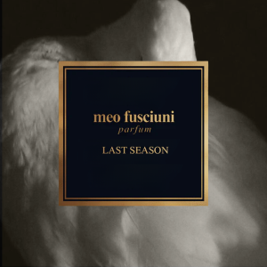 Meo fusciuni Last season