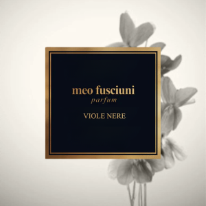 Meo fusciuni Viole Nere