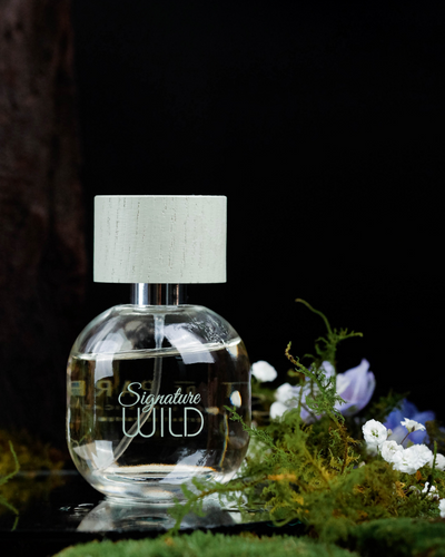 Nước hoa Signature Wild 1