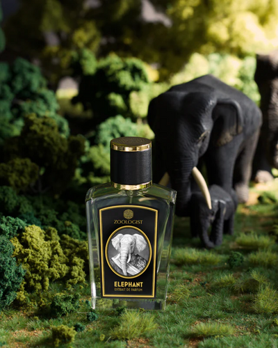 Nước hoa Zoologist Elephant 1