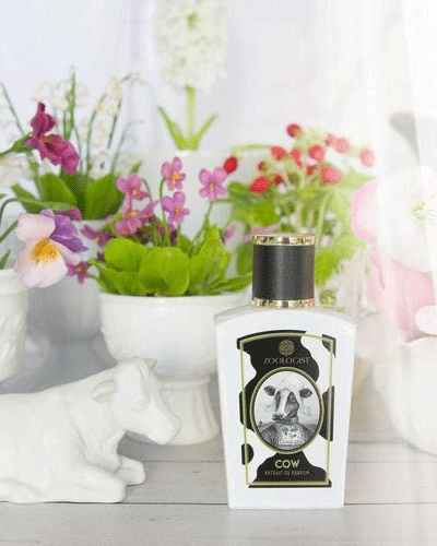 Nước hoa chính hãng Zoologist Cow