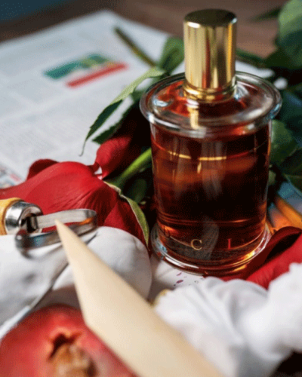 MDCI Chypre Palatin