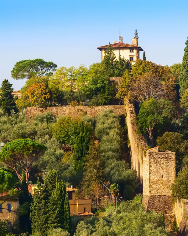 Le Jardin Retrouve CITRON BOBOLI