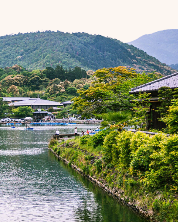 Le Jardin Retrouve Mousse Arashiya