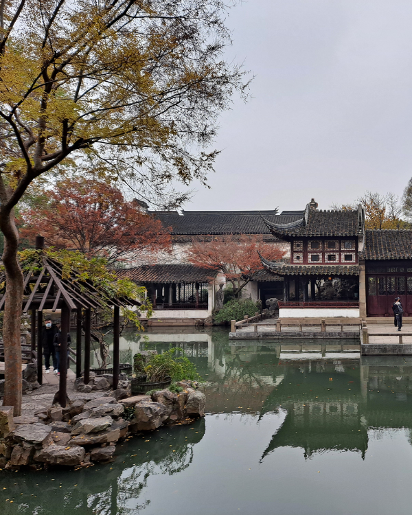 Le Jardin Retrouve Osmanthe Liu Yuan