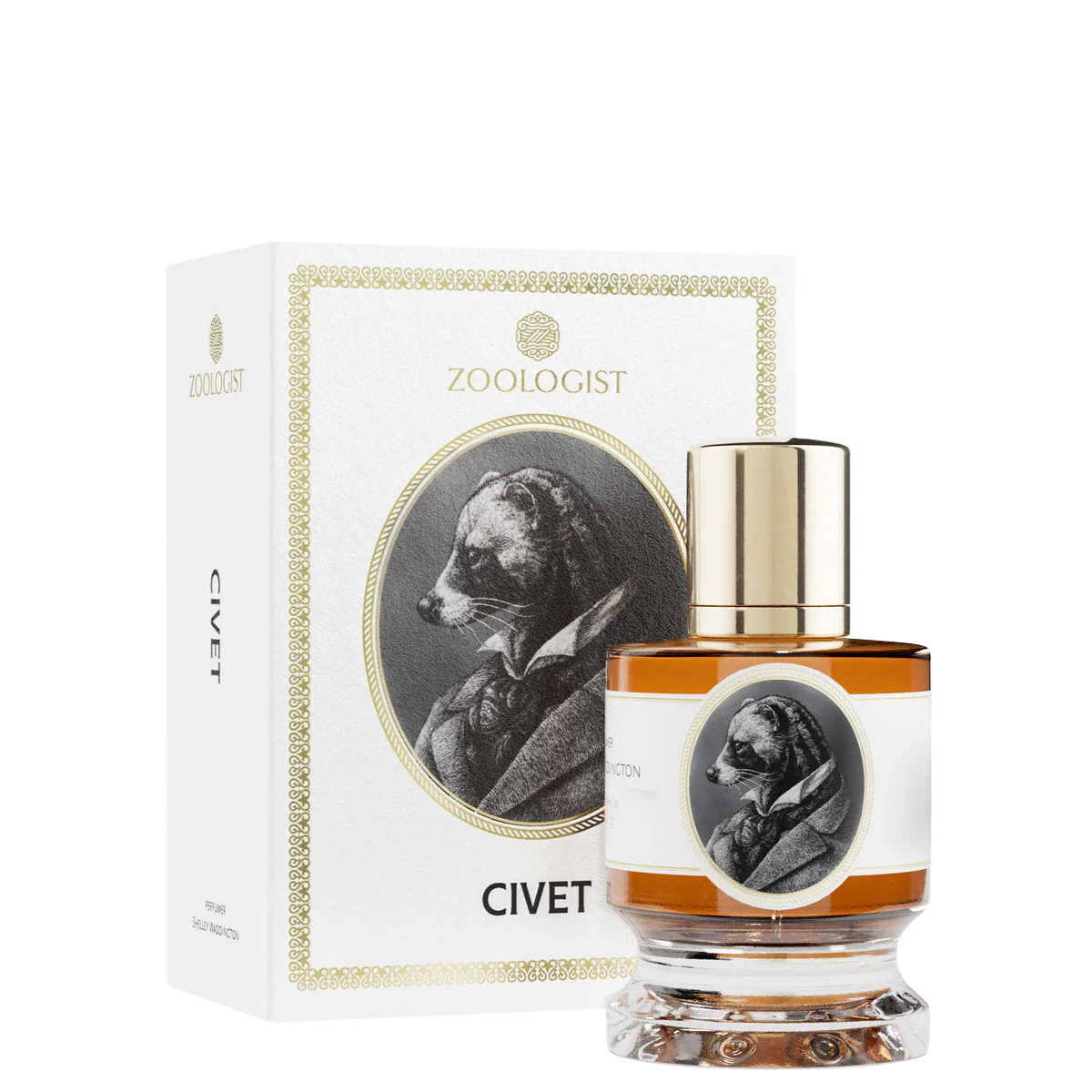 Zoologist Civet 1