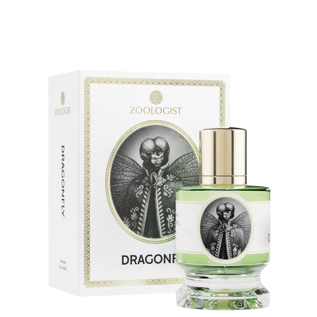 Zoologist Dragonfly 1