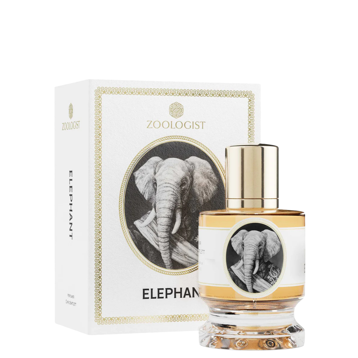 Zoologist Elephant 1