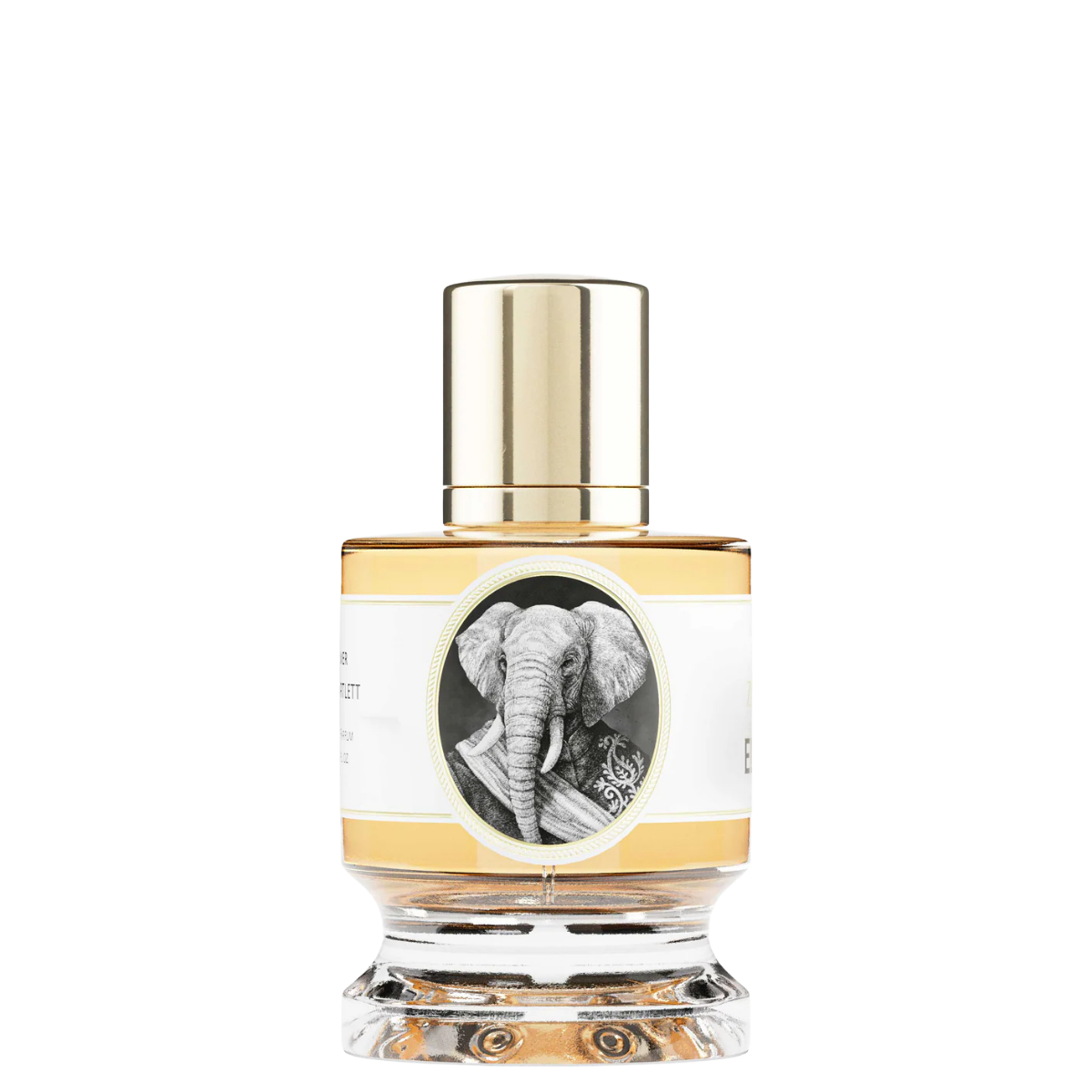 Zoologist Elephant
