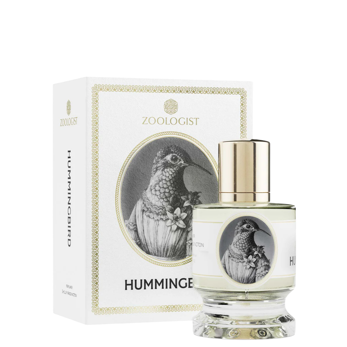 Zoologist Humming Bird 1