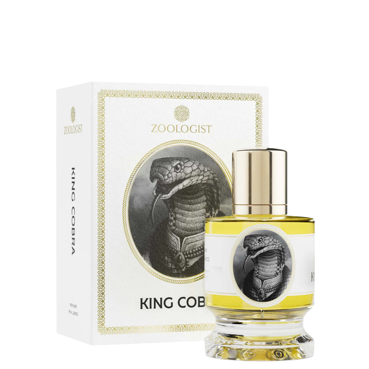 Zoologist King Cobra 1