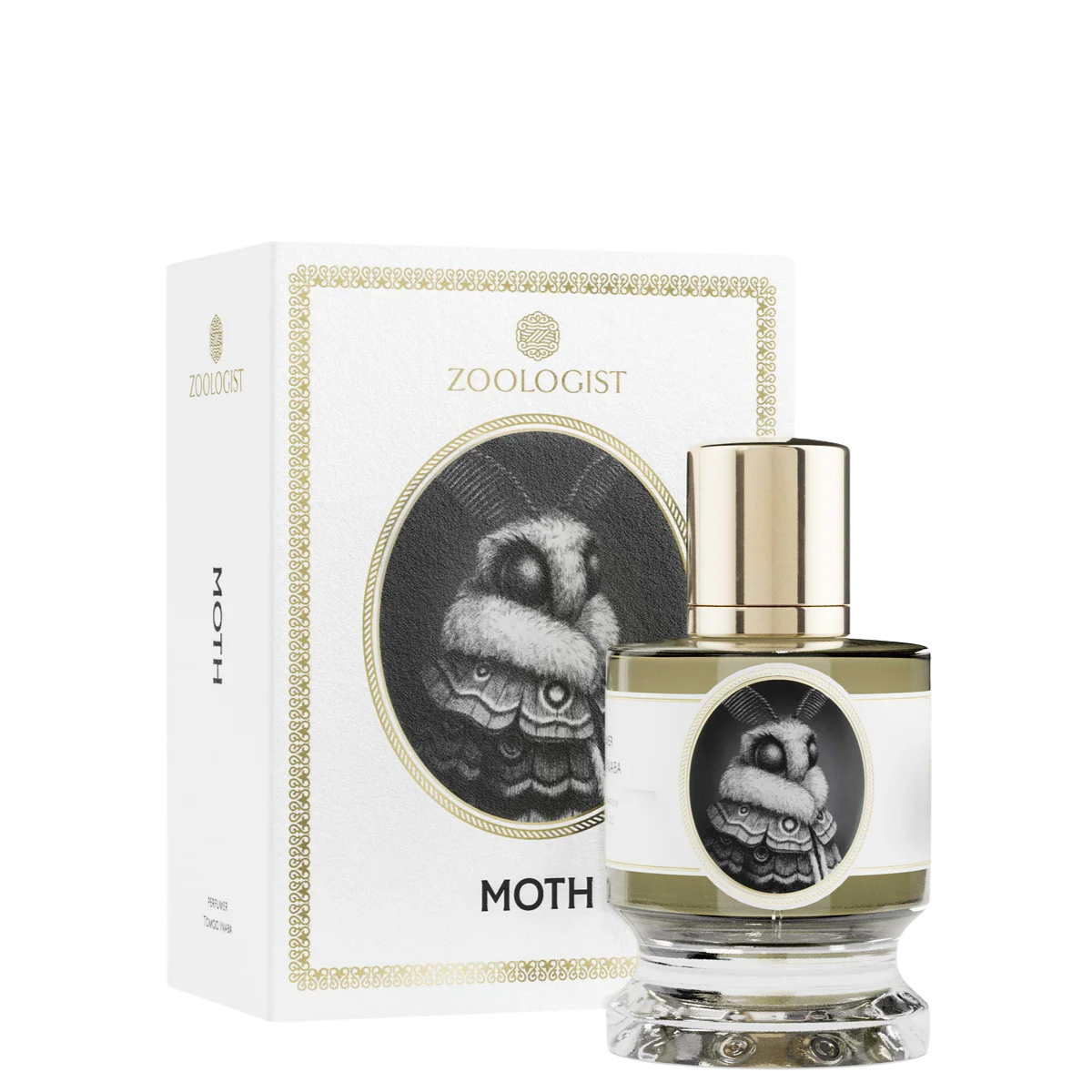 Zoologist Moth 1