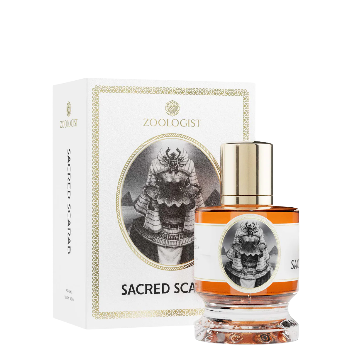 Zoologist Sacred Scarab 1