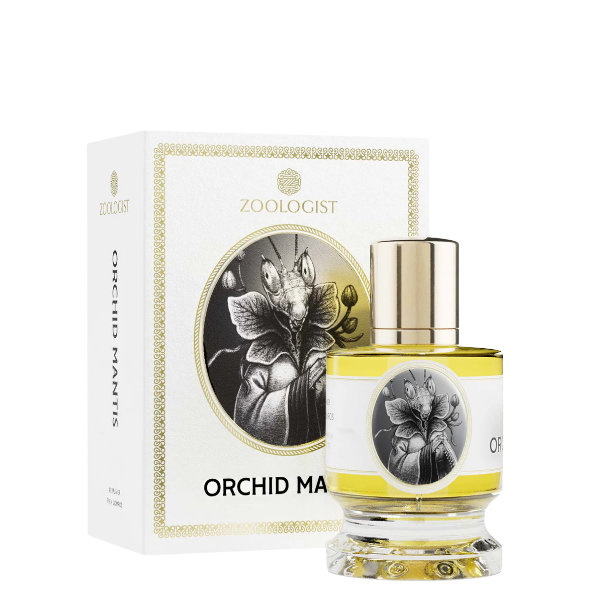 Zoologist Orchid Mantis 01